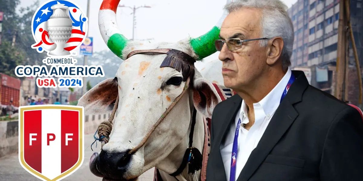 Basta Fossati, las vacas sagradas que deben ser sacrificadas en esta Copa América 2024