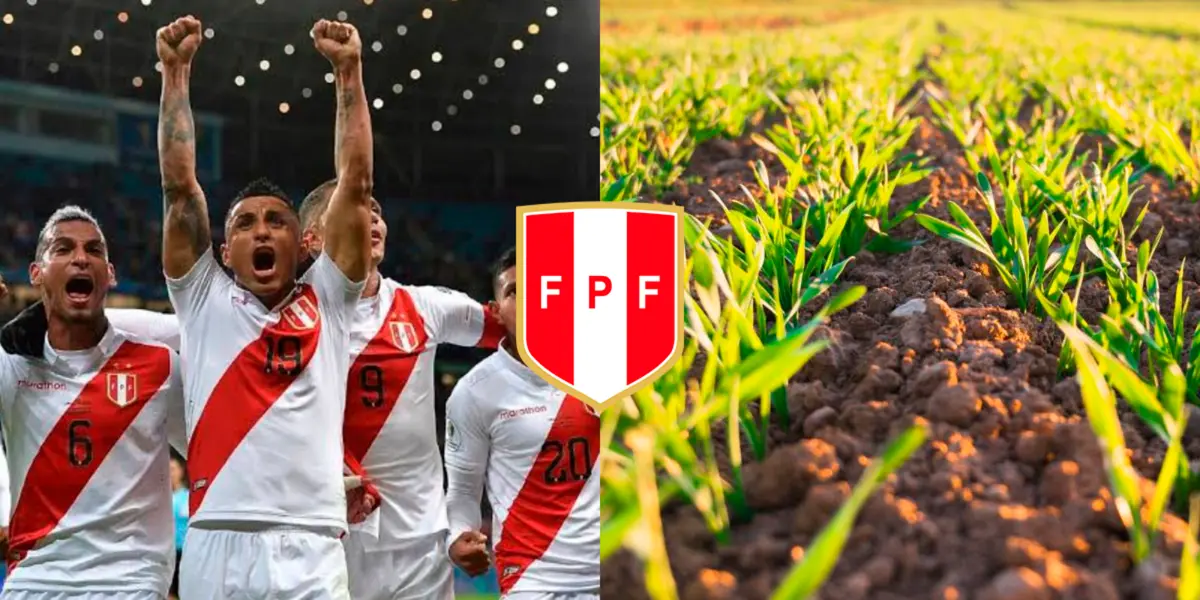 Tuvo una gran performance en la Selección Peruana, pero hoy se dedica a la agricultura